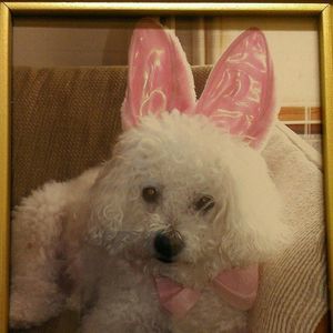 Meet your Posher, Melinda